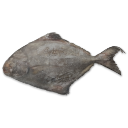 Jona Black Pomfret WR 500g-UP IWP 1 x 5kg 20% -ID Jona Black Pomfret WR 500g-UP IWP 1 x 5kg 20% -ID