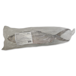 Milkfish WR 500-800 grs IQF/IWP 10 kg 10%-ID Milkfish WR 500-800 grs IQF/IWP 10 kg 10%-ID