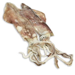 Bonemer Loligo WR 80-200g Block 1 x 5kg 15% -NL