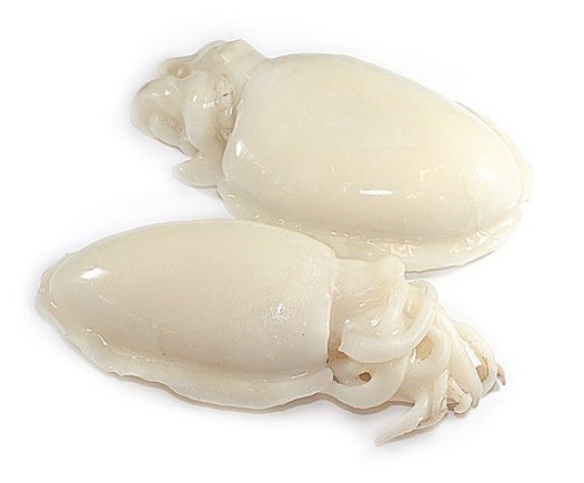 Cuttlefish / Sepia Whole Clean 1/2 pcs/kg 1 x 10 kg IQF -IN
