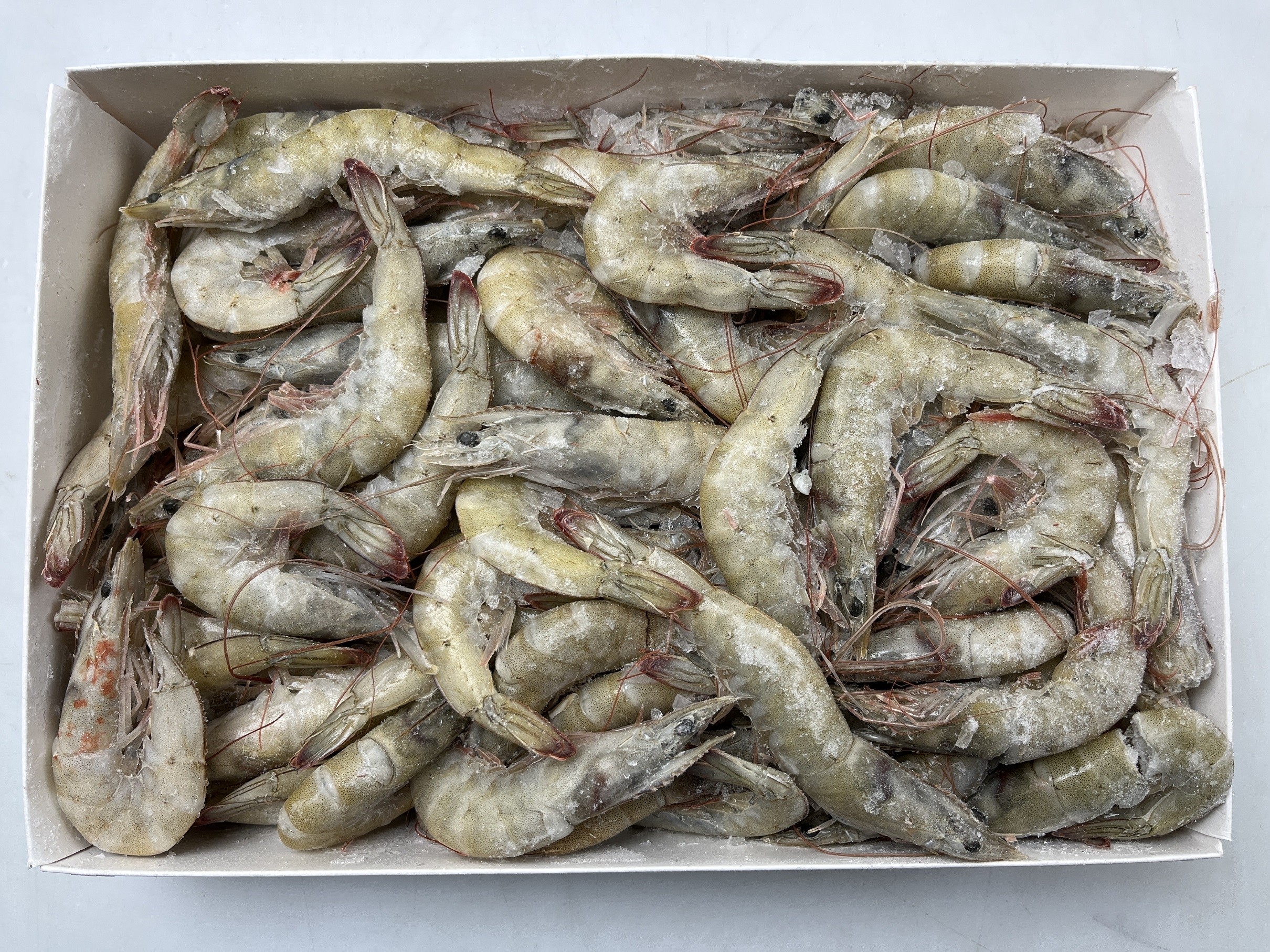 Vannamei shrimps HOSO 50/60 6 x 2 kg 25% -EC
