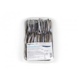 Jona Anchovy / Hamsi WR 10 cm+ 10x900 gr 100 % NW-TR Jona Anchovy / Hamsi WR 10 cm+ 10x900 gr 100 % NW-TR