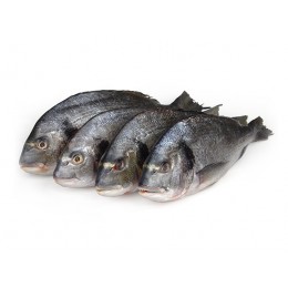 JONA Dorade / Seabream WGS 300-400 gr 5 kg IQF-TR JONA Dorade / Seabream WGS 300-400 gr 5 kg IQF-TR
