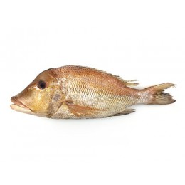 Emperor/Ca Gay /Villlai G&S IQF/IWP 500-1000 g 10 Kg-ID Emperor/Ca Gay /Villlai G&S IQF/IWP 500-1000 g 10 Kg-ID