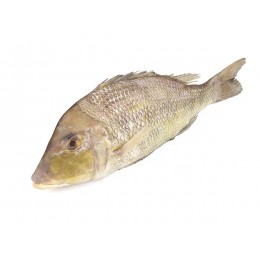 Emperor/Ca Gay /Villlai WR IQF/IWP 500-1000 g 10 Kg-ID Emperor/Ca Gay /Villlai WR IQF/IWP 500-1000 g 10 Kg-ID