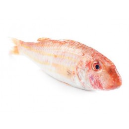 Jona Red Mullet Indian WR IQF 100-200 Gr 10 x 1 Kg 10%-IN Jona Red Mullet Indian WR IQF 100-200 Gr 10 x 1 Kg 10%-IN