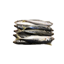 Japanese Scad / Ca Nuc Gai / D.Maruadsi 8-10p VAC 10x1 kg-VN Japanese Scad / Ca Nuc Gai / D.Maruadsi 8-10p VAC 10x1 kg-VN