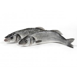 Seabass WGS 400-600 gr 10 x 1 kilo 20 %-TR Seabass WGS 400-600 gr 10 x 1 kilo 20 %-TR