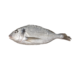 Jona Dorade / Seabream WR 300-400 gr 10 x 1 kg IQF 25 %-TR Jona Dorade / Seabream WR 300-400 gr 10 x 1 kg IQF 25 %-TR