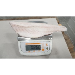 Seabass fillet descaled skin on 400/800 gr 10 kg IQF-20%-NL Seabass fillet descaled skin on 400/800 gr 10 kg IQF-20%-NL