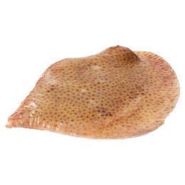 Rayfish/Trukkai/Skatewings Skin On 200-900 gr 10 Kg -SR Rayfish/Trukkai/Skatewings Skin On 200-900 gr 10 Kg -SR