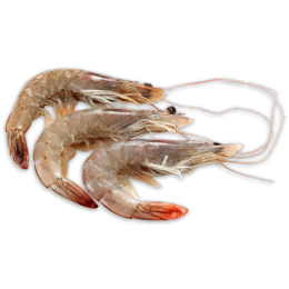 Dayseabay Vannamei shrimps HOSO 30/40 12 x 1 kg 25% -EC