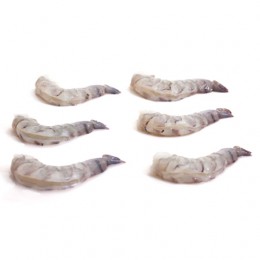 JONA Black Tiger P&D 26/30 10 x 1 kg IQF 25%-BD JONA Black Tiger P&D 26/30 10 x 1 kg IQF 25%-BD