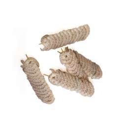 Vannamei Skewers 14 pcs 2 x 10 x ( 5 x 100 g ) 15% -VN Vannamei Skewers 14 pcs 2 x 10 x ( 5 x 100 g ) 15% -VN