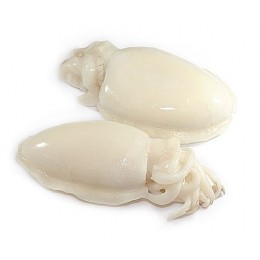 Cuttlefish / Sepia Whole Clean 1/2 pcs/kg 1 x 10 kg IQF -IN Cuttlefish / Sepia Whole Clean 1/2 pcs/kg 1 x 10 kg IQF -IN