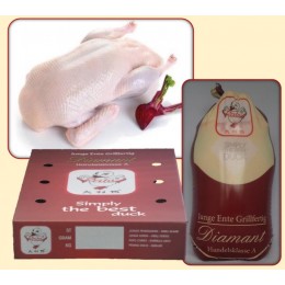 Drosed Duck Griller Without Organs 6 x 2400 grs - PL Drosed Duck Griller Without Organs 6 x 2400 grs - PL