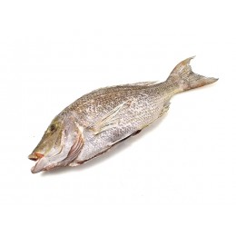Jona Emperor G&S IQF IWP 2000/3000 gr 1 x 10 Kg 100%NW-IN Jona Emperor G&S IQF IWP 2000/3000 gr 1 x 10 Kg 100%NW-IN