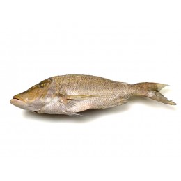 Jona Emperor G&S IQF IWP 3000 gr+ 1 x 10 Kg 100%NW-IN Jona Emperor G&S IQF IWP 3000 gr+ 1 x 10 Kg 100%NW-IN
