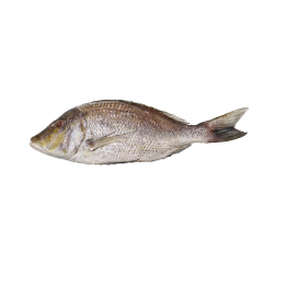 Jona Emperor G&S IQF IWP 1000/2000 gr 1 x 10 Kg 10%-IN Jona Emperor G&S IQF IWP 1000/2000 gr 1 x 10 Kg 10%-IN