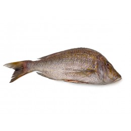 Jona Emperor G&S IQF IWP 2000 gr+ 1 x 10 Kg 10%-IN Jona Emperor G&S IQF IWP 2000 gr+ 1 x 10 Kg 10%-IN