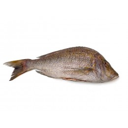 Jona Emperor G&S IQF IWP 500/1000 gr 1 x 10 Kg 10%-IN Jona Emperor G&S IQF IWP 500/1000 gr 1 x 10 Kg 10%-IN