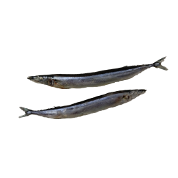 Jona Garfish / Atlantic Saury WR 18-25 10 x 1 kg NW-ES Jona Garfish / Atlantic Saury WR 18-25 10 x 1 kg NW-ES
