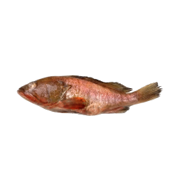 Reefcod/Tsof/Grouper WGS 700-1000 4 x 3 Kg 10%-IN Reefcod/Tsof/Grouper WGS 700-1000 4 x 3 Kg 10%-IN
