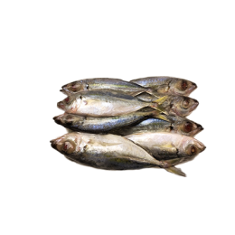 Big Eye Scad / Matangbaka WR 6-8p 10 x 1 kg-VN Big Eye Scad / Matangbaka WR 6-8p 10 x 1 kg-VN