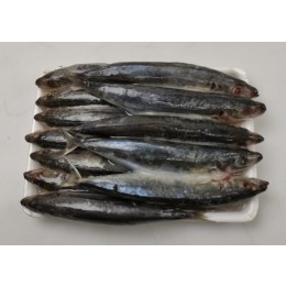 Round Scad/Ca Nuc Chuoi/Galunggong 8-10p VAC 10 x 1 kg-VN Round Scad/Ca Nuc Chuoi/Galunggong 8-10p VAC 10 x 1 kg-VN