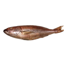 Kingsnappers/Jobfish WR IQF IWP 21 kilo 3000gr up 100% NW-IN Kingsnappers/Jobfish WR IQF IWP 21 kilo 3000gr up 100% NW-IN