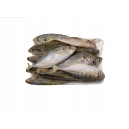 Yellow Tail Scad Whole/Atule Mate 10-12p VAC 10x1 kg 10%-VN Yellow Tail Scad Whole/Atule Mate 10-12p VAC 10x1 kg 10%-VN