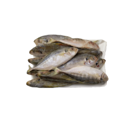 Yellow Tail Scad Whole/Atule Mate 10-12p VAC 10x1 kg 10%-VN Yellow Tail Scad Whole/Atule Mate 10-12p VAC 10x1 kg 10%-VN
