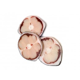 Jona Blue Shark Steaks Skin On 100-300g IQF 10 X 1 Kg 10%-ES Jona Blue Shark Steaks Skin On 100-300g IQF 10 X 1 Kg 10%-ES