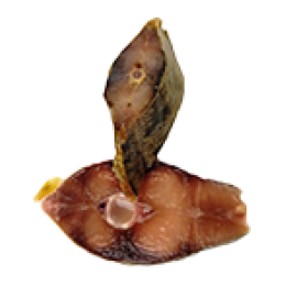 Trevally / Blue Runner Steaks Skin-on 150-250 g 10 x 1 Kg-SU Trevally / Blue Runner Steaks Skin-on 150-250 g 10 x 1 Kg-SU
