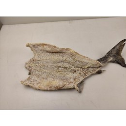 Saithe (Colin) Butterfly Split -Pol. virens- 13/15 25 kg-NO Saithe (Colin) Butterfly Split -Pol. virens- 13/15 25 kg-NO