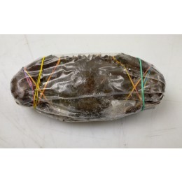 Mangrove Crab WR 700gr+ 1x5kg 100% NW - MG Mangrove Crab WR 700gr+ 1x5kg 100% NW - MG