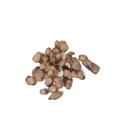 JONA Sliced Cooked Squid Tentacles Cooked 12 x 800 g-PT JONA Sliced Cooked Squid Tentacles Cooked 12 x 800 g-PT