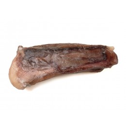 JONA Giant Squid Tentacles 1-2 Kg (D.Gigas) 10 kg IQF 20%-PT JONA Giant Squid Tentacles 1-2 Kg (D.Gigas) 10 kg IQF 20%-PT