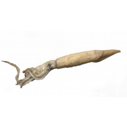 Jona Illex Shorftfin Squid WR av 100grs 10 x 1 kg IQF- ES Jona Illex Shorftfin Squid WR av 100grs 10 x 1 kg IQF- ES