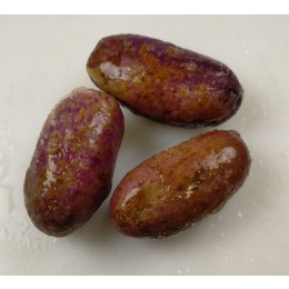 Ripe african purple plums / Safu 30 x 454 g -CM Ripe african purple plums / Safu 30 x 454 g -CM