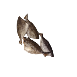 Jona Rabbit Fish (Otti) HG IQF 70 gr+ 10 x 1 Kg 10%-IN Jona Rabbit Fish (Otti) HG IQF 70 gr+ 10 x 1 Kg 10%-IN