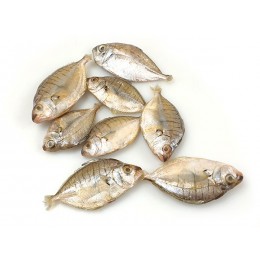 Jona Pony fish / Mullan Whole Round 10 x 1 kg 10%- IN Jona Pony fish / Mullan Whole Round 10 x 1 kg 10%- IN