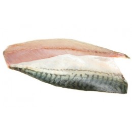 Mackerel fillet Skinon PBI 150 gr+ 10 x 1 Kg 25%-NL Mackerel fillet Skinon PBI 150 gr+ 10 x 1 Kg 25%-NL