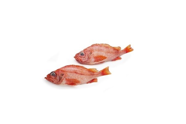 Redfish/S.Mentella A Grade Mix 30-35pc WR-20,5 Kg-NO