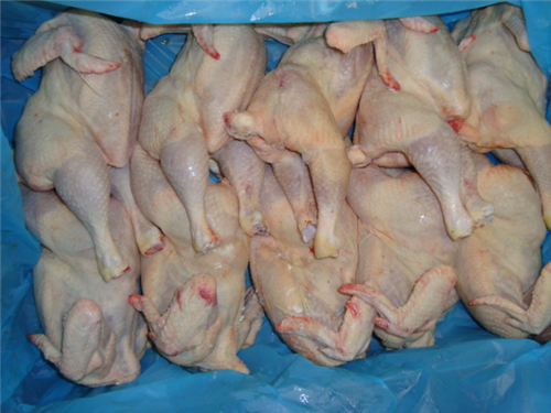 Whole Chicken Grillers A grade Halal 12 x 900 gr -BE