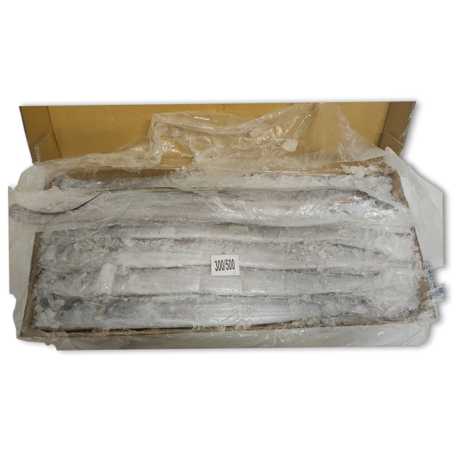 Jona Ribbon Fish WR A-Grade 300-500g IWP 1 x10kg -IN