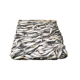 Sprat Whole Round 90-120 1 x 23kg seafrozen - NL Sprat Whole Round 90-120 1 x 23kg seafrozen - NL