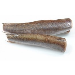 Hake / Merluzza HGT IWP 450-600 gr (01) ~21,5 kg-ES Hake / Merluzza HGT IWP 450-600 gr (01) ~21,5 kg-ES