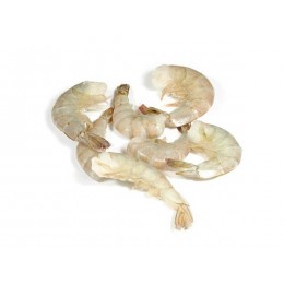 Vannamei Shrimps HLSO easy peel 16/20 10 x 1 kg 25%-IN Vannamei Shrimps HLSO easy peel 16/20 10 x 1 kg 25%-IN
