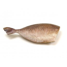 Jona Rabbit fish Oora HG 400g+ IQF IWP 10 Kg 10%-IN Jona Rabbit fish Oora HG 400g+ IQF IWP 10 Kg 10%-IN